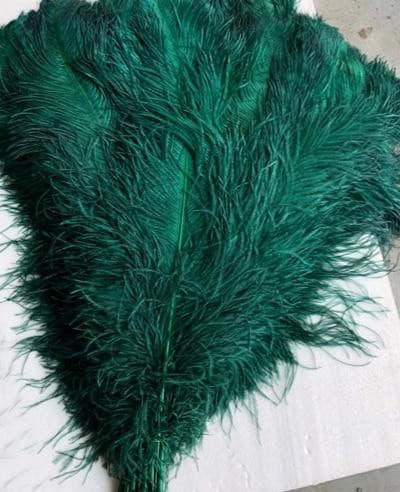 Ostrich Feather at Rs 90/piece, Feather in Chennai